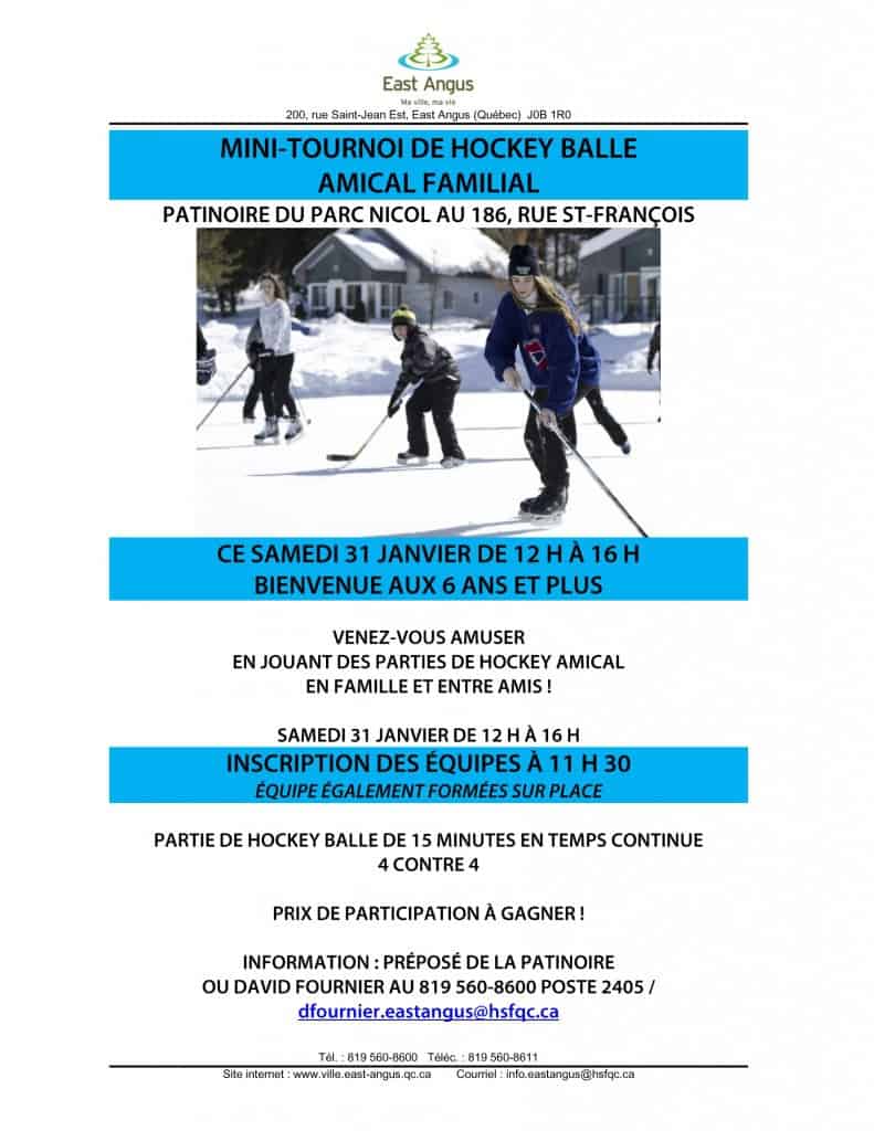 Tournoi de hockey balle familial - 2015-01-31