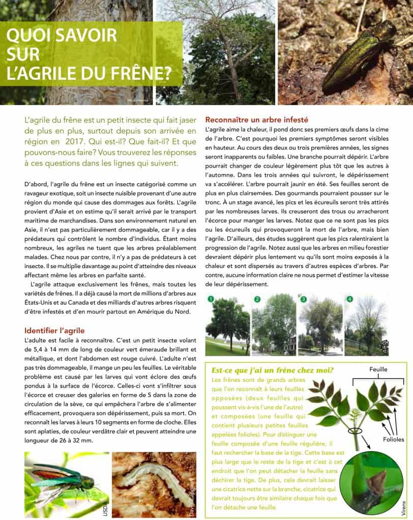 article agrile-1